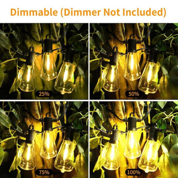 趣味 Lightning outdoor ZXXC 27-Light 50 ft. Indoor/Outdoor Plug-In LED Edison String
