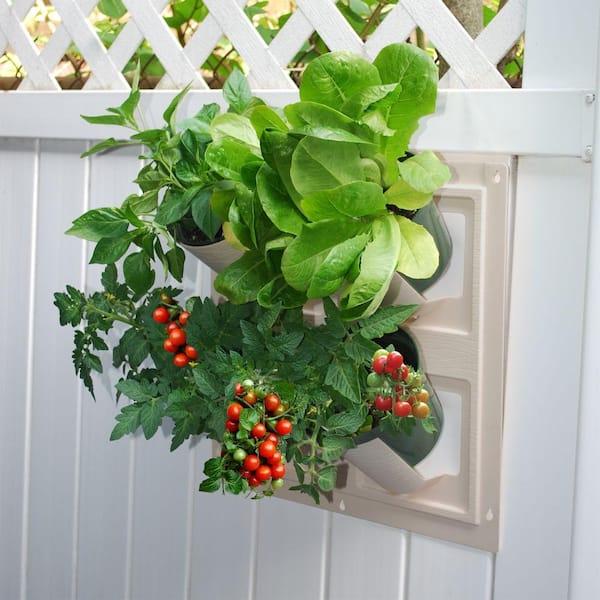WallFlowers 17 in. Square Resin Living Wall Hanging Flower Planter in Sand (4-Pot)