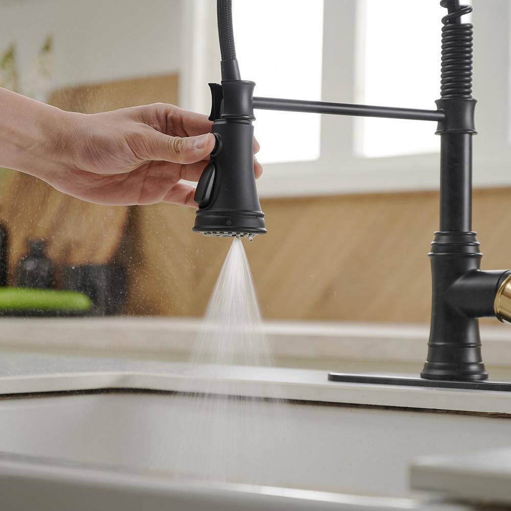 Matte Black and Gold High-Arc Kitchen Faucet with Pull-Out Spray