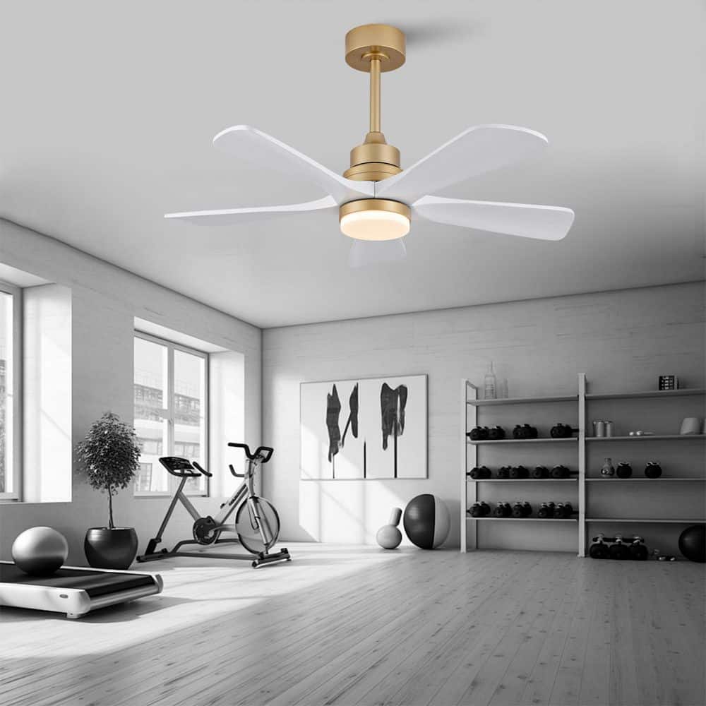 42 in. Indoor Gold Downrod Mount Standard Ceiling Fan with 5 Solid Wood, Dimmable, DC Motor and Remote Control price history on PriceWatchPro