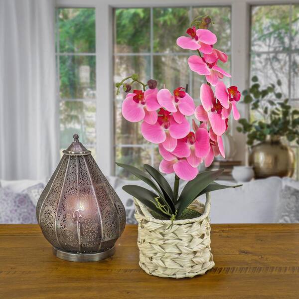 National Tree Company 21 in Artificial Floral Arrangements Orchid in White  Basket- Color: Pink MT81-PH0254PPK - The Home Depot