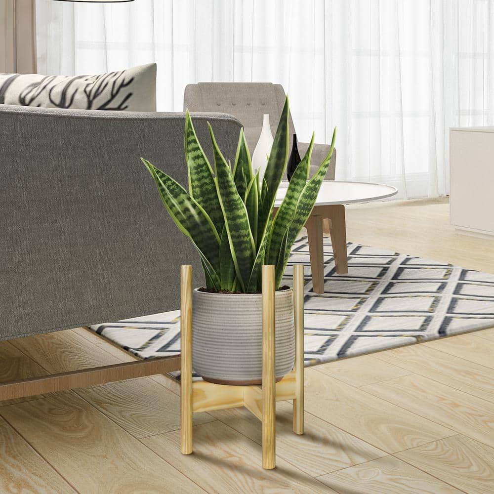 Natural Solid Wood Flippable Plant Display Stand, 10" W x 16" H