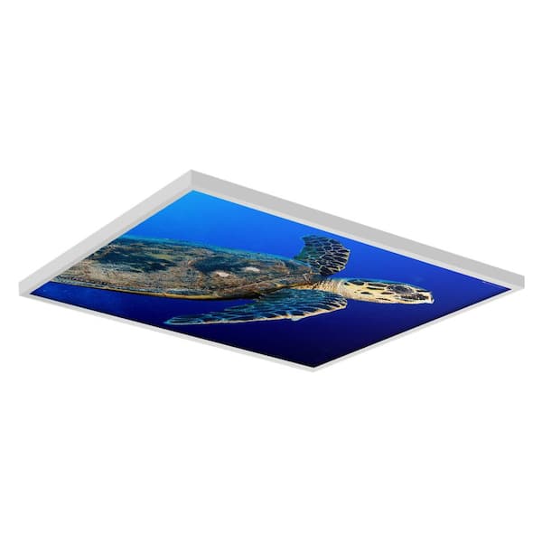 OCTO LIGHTS Ocean 008 2 ft. x 2 ft. Flexible Decorative Light Diffuser Panels Ocean for Classrooms and Offices