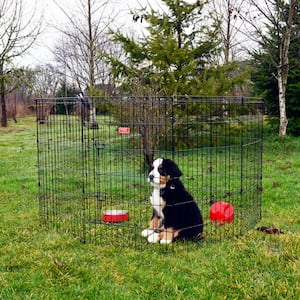36 in. High Heavy Duty Dog Exercise Pen with Stakes