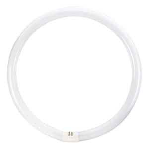 40-Watt 16 in. Linear Circline T9 Fluorescent Tube Light Bulb Cool White (4100K) (1-Bulb)