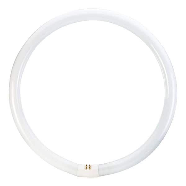 Philips 40-Watt 16 in. Linear Circline T9 Fluorescent Tube Light Bulb Cool White (4100K) (1-Bulb)