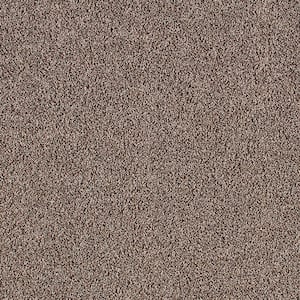 Huntcliff II Leather Bound Brown 39 oz. Triexta Texture Installed Carpet