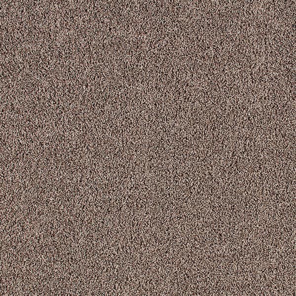 Huntcliff I Leather Bound Brown 31 oz. Triexta Texture Installed Carpet