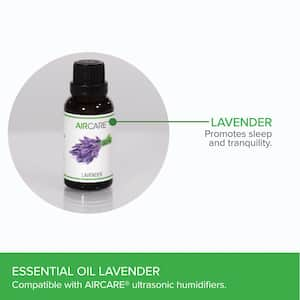 Lavender Essential Oil