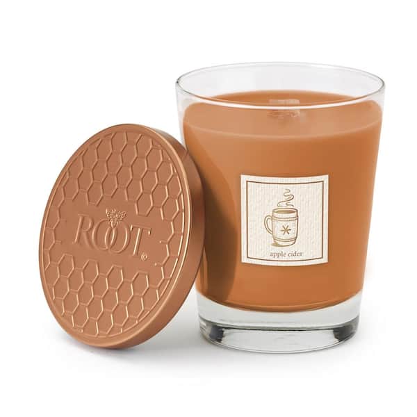 ROOT CANDLES Apple Cider Scented Jar Candle 10.5 oz. in Rust