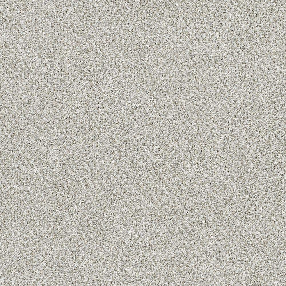 8 in. x 8 in. Texture Carpet Sample - Evermore I - Color Enduring price history on PriceWatchPro