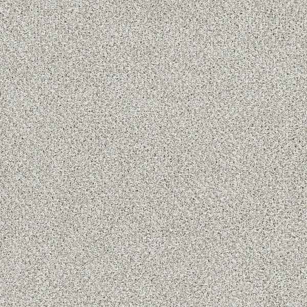 Lifeproof 8 in. x 8 in. Texture Carpet Sample - Evermore III - Color Enduring