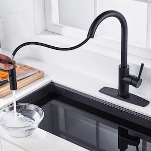 Single Handle Pull Down Sprayer Kitchen Faucet with Plastic Sprayer in Matt Black