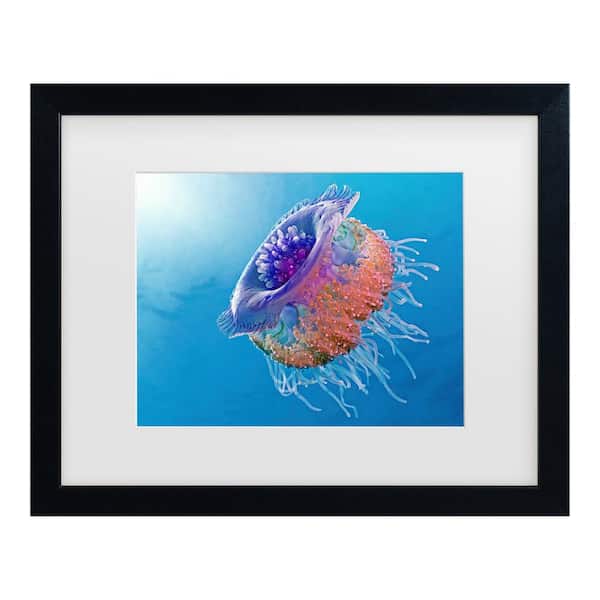 Trademark Fine Art Henry Jager Crown Jellyfish Matted Framed Photography Wall Art 18 in. x 22 in.