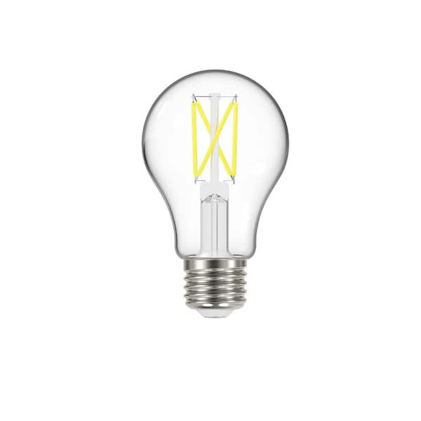 EcoSmart 40-Watt Equivalent A19 Dimmable Clear Glass Filament LED Light Bulb Daylight (4-Pack)