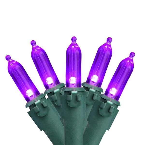 Northlight Set of 50 Purple LED Mini Christmas Lights with Green Wire