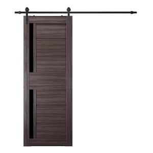 Esta 36 in. x 84 in. 2-Lite Frosted Glass Gray Oak Wood Composite Sliding Barn Door with Hardware Kit