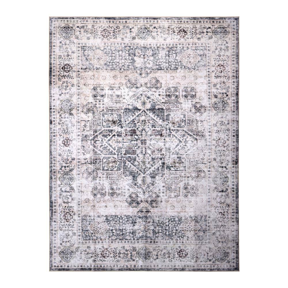 Machine Washable Paisley Eternal Ash 3 ft. x 5 ft. Kitchen/Bedroom/Living Room Indoor Area Rug price history on PriceWatchPro