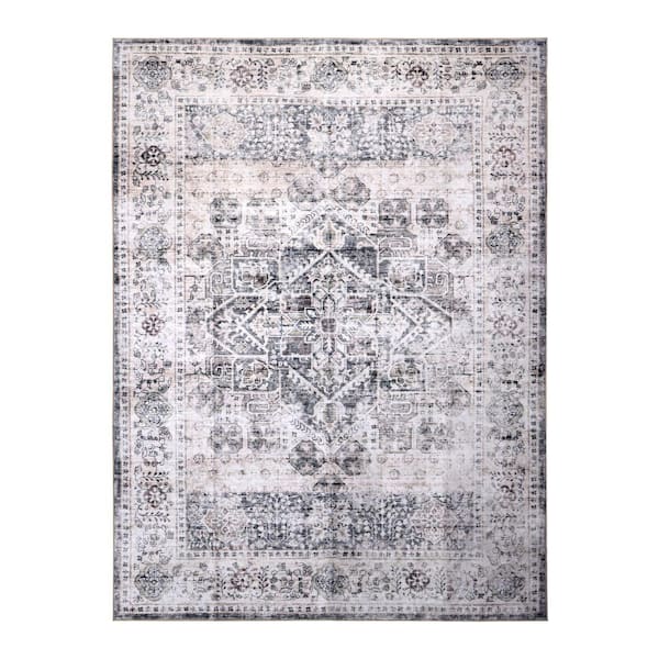 Machine Washable Paisley Eternal Ash 3 ft. x 5 ft. Kitchen/Bedroom/Living Room Indoor Area Rug