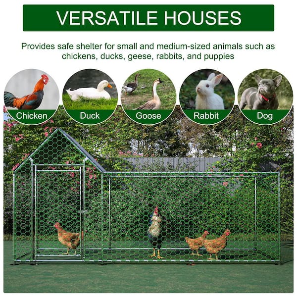 maocao hoom 10 ft. x 3 ft. Metal Chicken Coop Run Backyard Hen