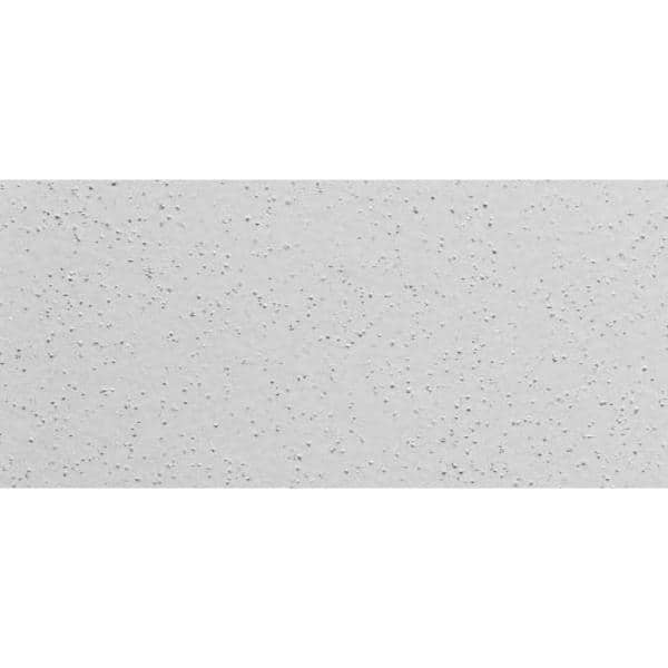 USG Sheetrock Brand 1 gal. TexoLite Wall and Ceiling Sanded Paste Stipple  White Texture Paint 545600 - The Home Depot