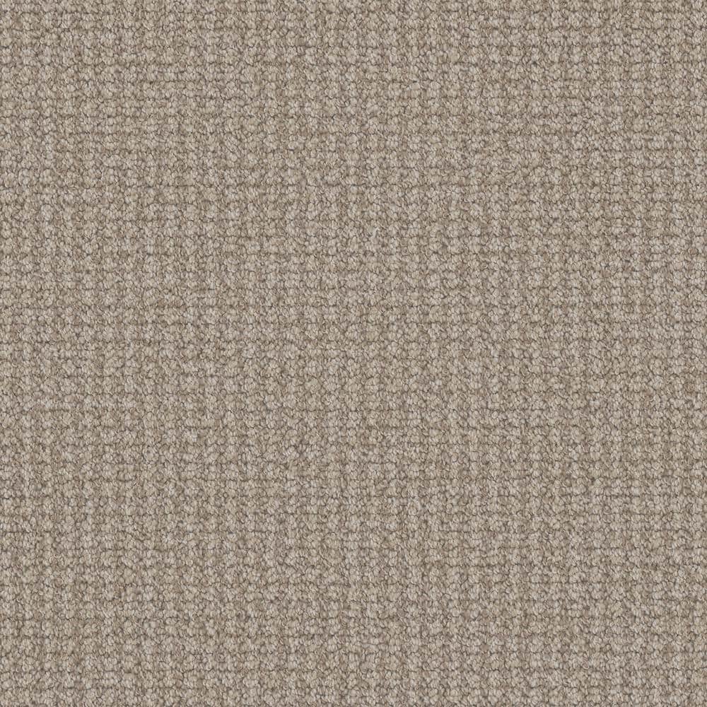 8 in. x 8 in. Pattern Carpet Sample - Shooting Star - Color Aurora price history on PriceWatchPro