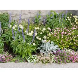 Readi Soil 8 Qt. 100% Organic Worm Castings Flowering Blend Readi Soil 8 Qt. 100% Organic Worm Castings Flowering Blend