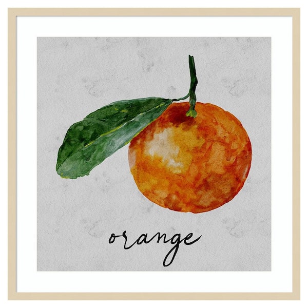 Amanti Art Summertime Citrus I by Regina Moore 33 in. W x 33 in. H. Wood Framed Wall Art Print Framed in Brown