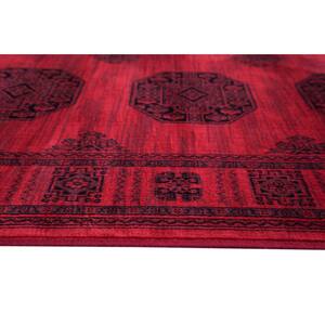 Sonoma Bijan Red and Black 5 ft. 3 in. x 7 ft. 6 in. Border Viscose Area Rug