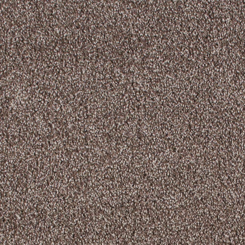 8 in. x 8 in. Texture Carpet Sample - Northern Hills II -Color Sanctuary price history on PriceWatchPro