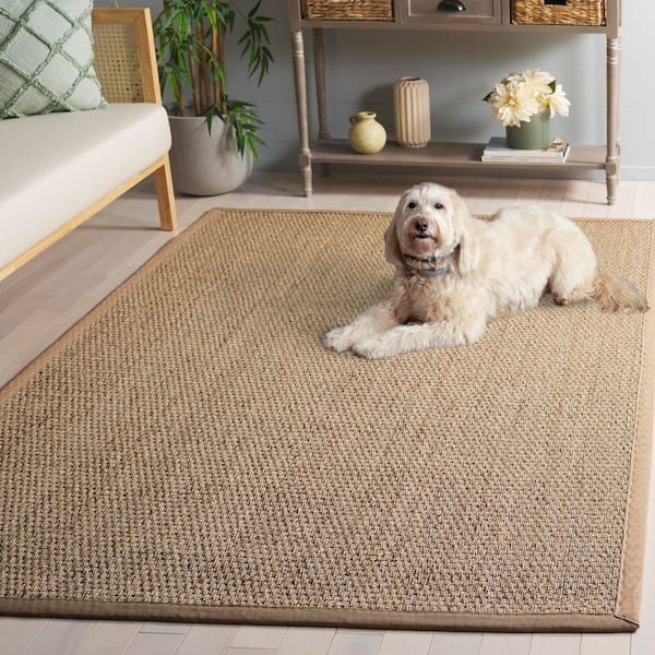 SAFAVIEH Natural Fiber 6 ft. x 9 ft. Natural/Beige Abstract Solid