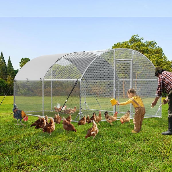 Unbranded 13 ft. Chicken Run Coop Walk-In Chicken Coop Outdoor Galvanized Steel Chicken Coop