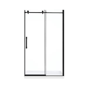 Eva 48 in x 78.74 in Frameless Shower Door in Black