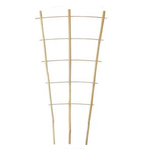 2 ft. Natural Scalloped Bamboo Trellis For Climbing Plants Indoor/Outdoor, 3-Pack
