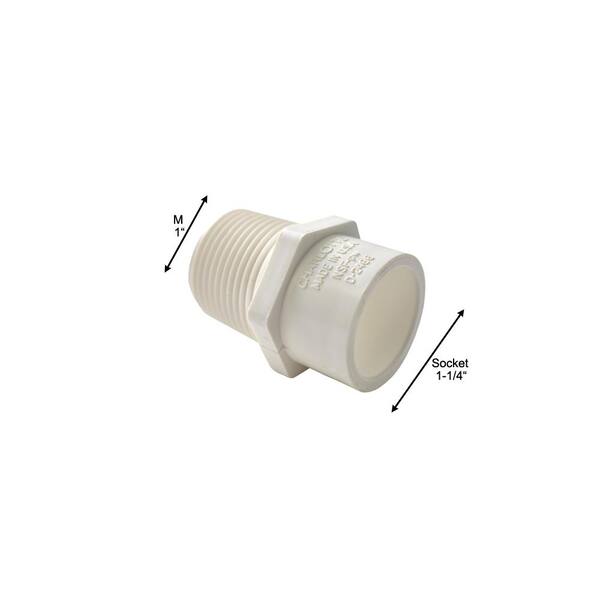 thumbnail image 2 of Primex 88153 1-1/4" Male Thread X Slip PVC Adapter - Schedule 40 2 of 2