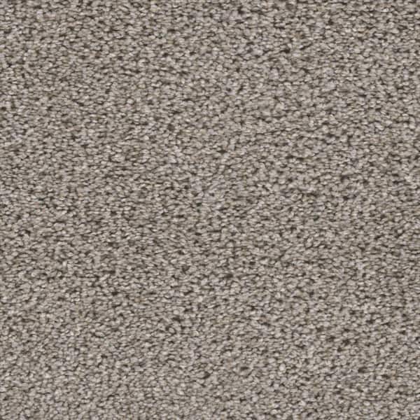Home Decorators Collection Fall Skies I  - Autumn Cheer - Gray 48 oz. SD Polyester Texture Installed Carpet