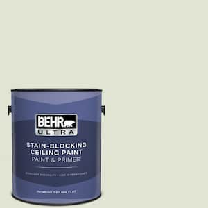 1 gal. #MQ3-46 Folly Ceiling Flat Interior Paint with Primer