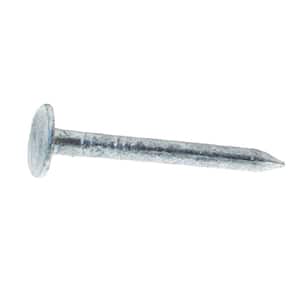 #9 x 3 in. 10-Penny Hot-Galvanized Steel Common Nails (10 lbs.-Pack)
