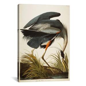 "Great Blue Heron " by John James Audubon Canvas Wall Art
