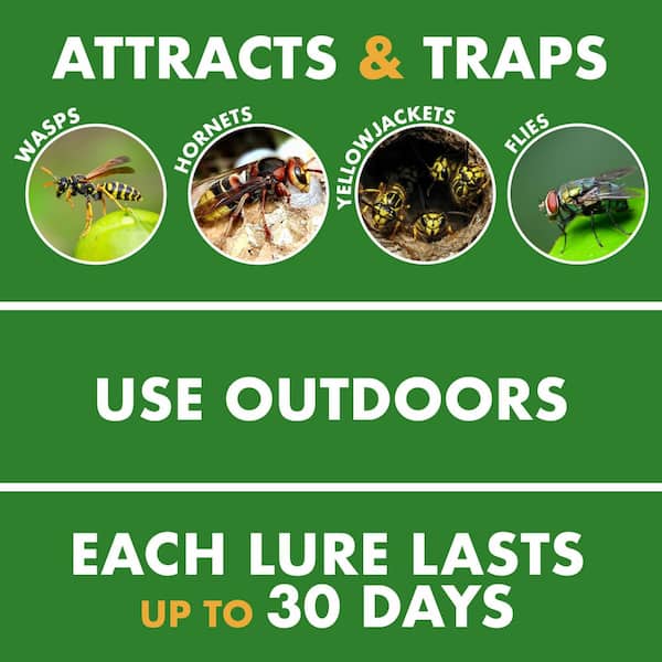 Wasp, Hornet and Yellow Jacket Canister Insect Trap (4-Count)