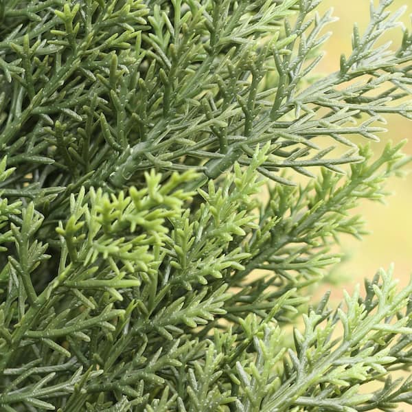 DR.Planzen 4 ft. Artificial Topiary Cedar Trees Outdoor Indoor