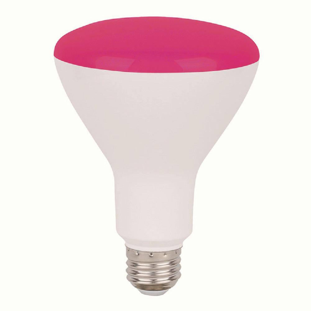 pink flood light bulbs