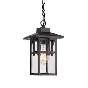 1-Light Black Outdoor Pendant Light with Seeded Glass Shade