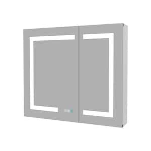 30 in. W x 30 in. H Surface/Recessed-Mount Rectangular Aluminum Medicine Cabinet with Mirror