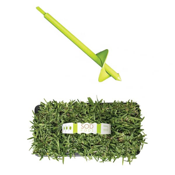 St Augustine Sod/CitraBlue Grass Plugs 16-Count/SP Power Planter Bundle - Natural, Affordable Lawn Improvement