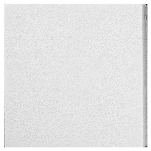 2 ft. x 2 ft. Mars White Square Edge Lay-In Ceiling Tile, case of 12 (48 sq. ft.)