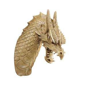 Design Toscano 6 in. x 4.5 in. Talons of the Dunheviel Dragon Wall ...