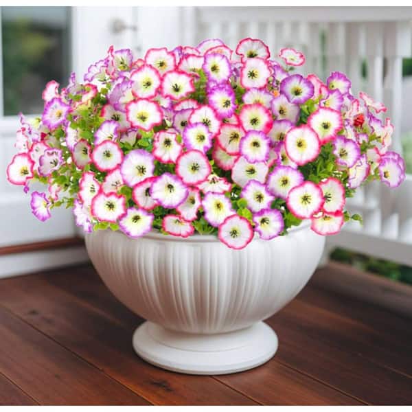 Amazon.com: ICX 10pc Artificial Morning Glory Flowers for
