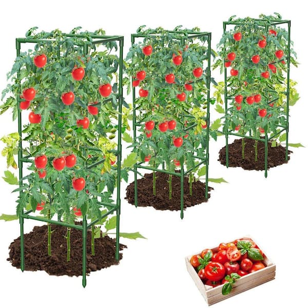 3-Pack 41.7 in. Heavy-Duty Square Tomato Cages Trellis with Adjustable Height for Climbing Vegetables and Garden Plants