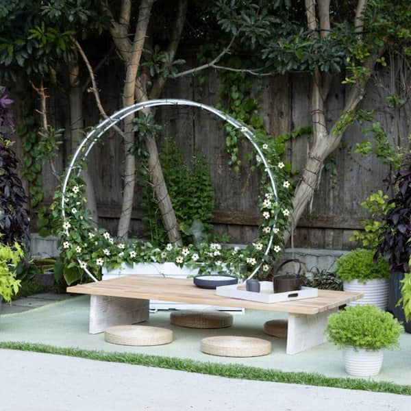 Proven Winners 7 in. Royale Coconut A-Peel Black-Eyed Susan Vine